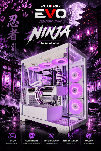 NINJA | PC GAMING - RYZEN 7 7800X3D - RX 9070 16GB - 1440P